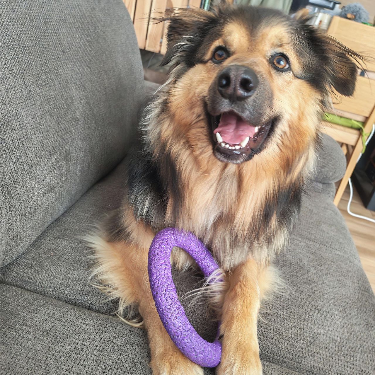 Soutěžní fotografie - Mia,  Ostatní