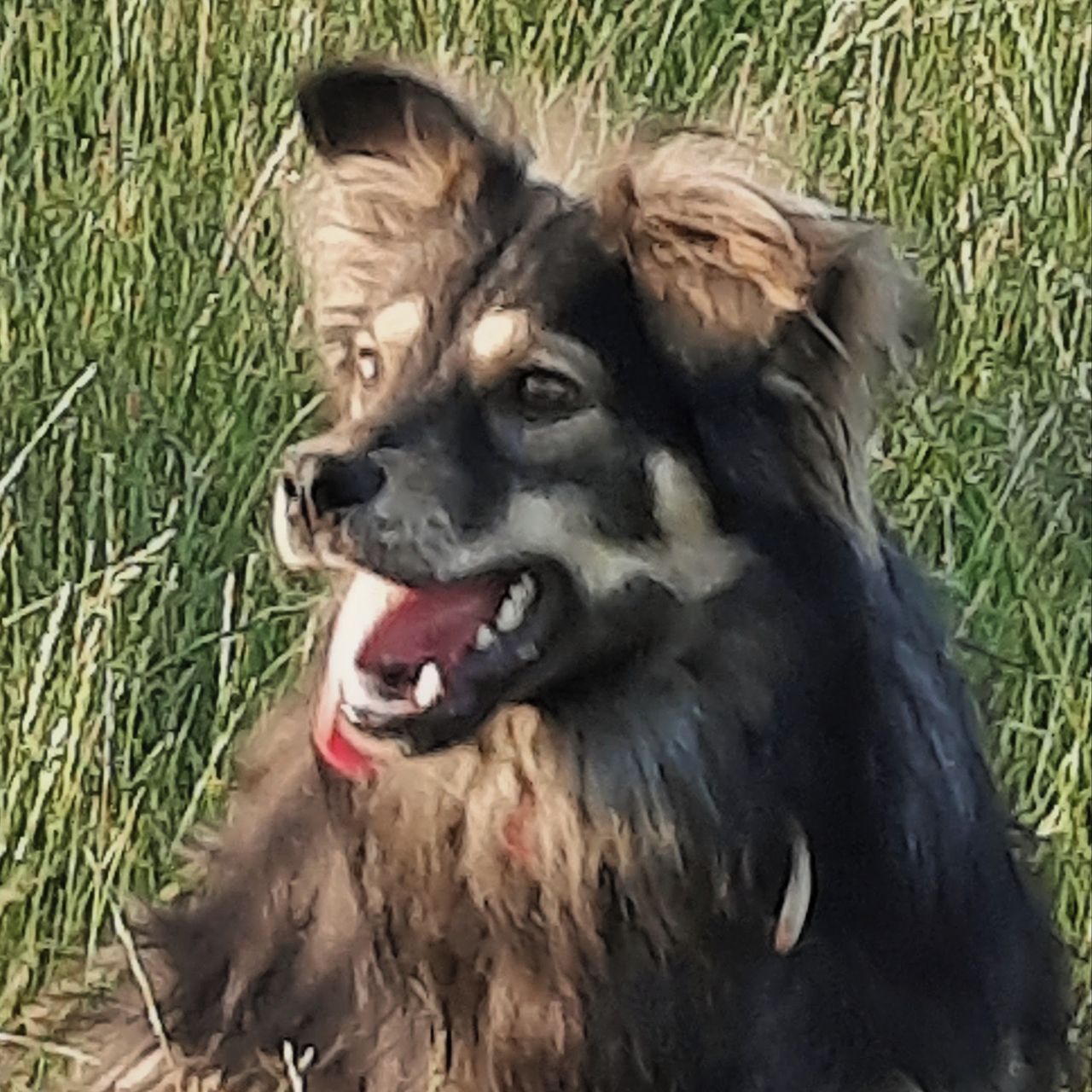 Soutěžní fotografie - Lotus,  Ostatní