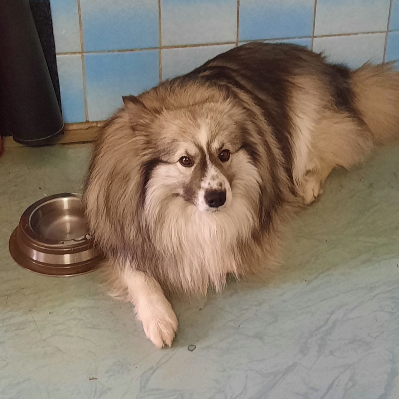 Soutěžní fotografie - EDY,  Ostatní