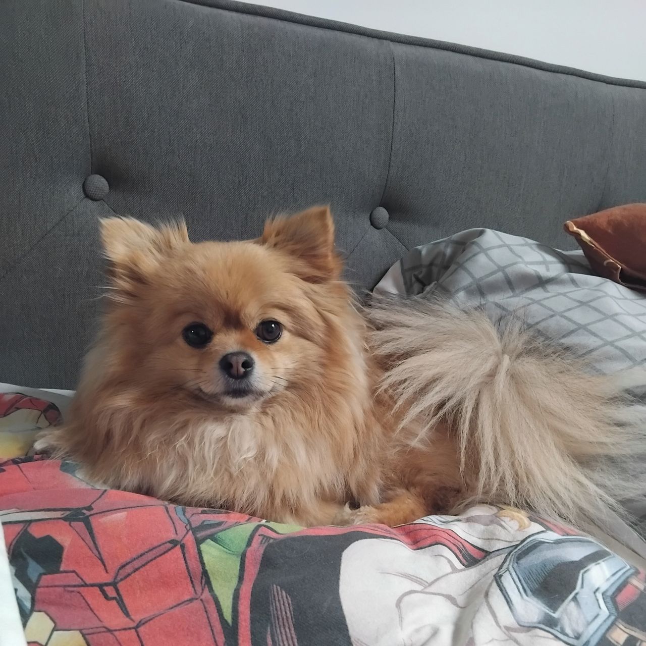 Soutěžní fotografie - Jessinka,  Ostatní