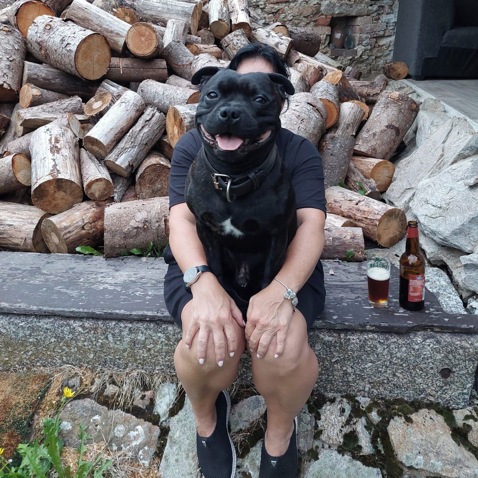 Soutěžní fotografie - Eda,  Stafordšírský bullterier