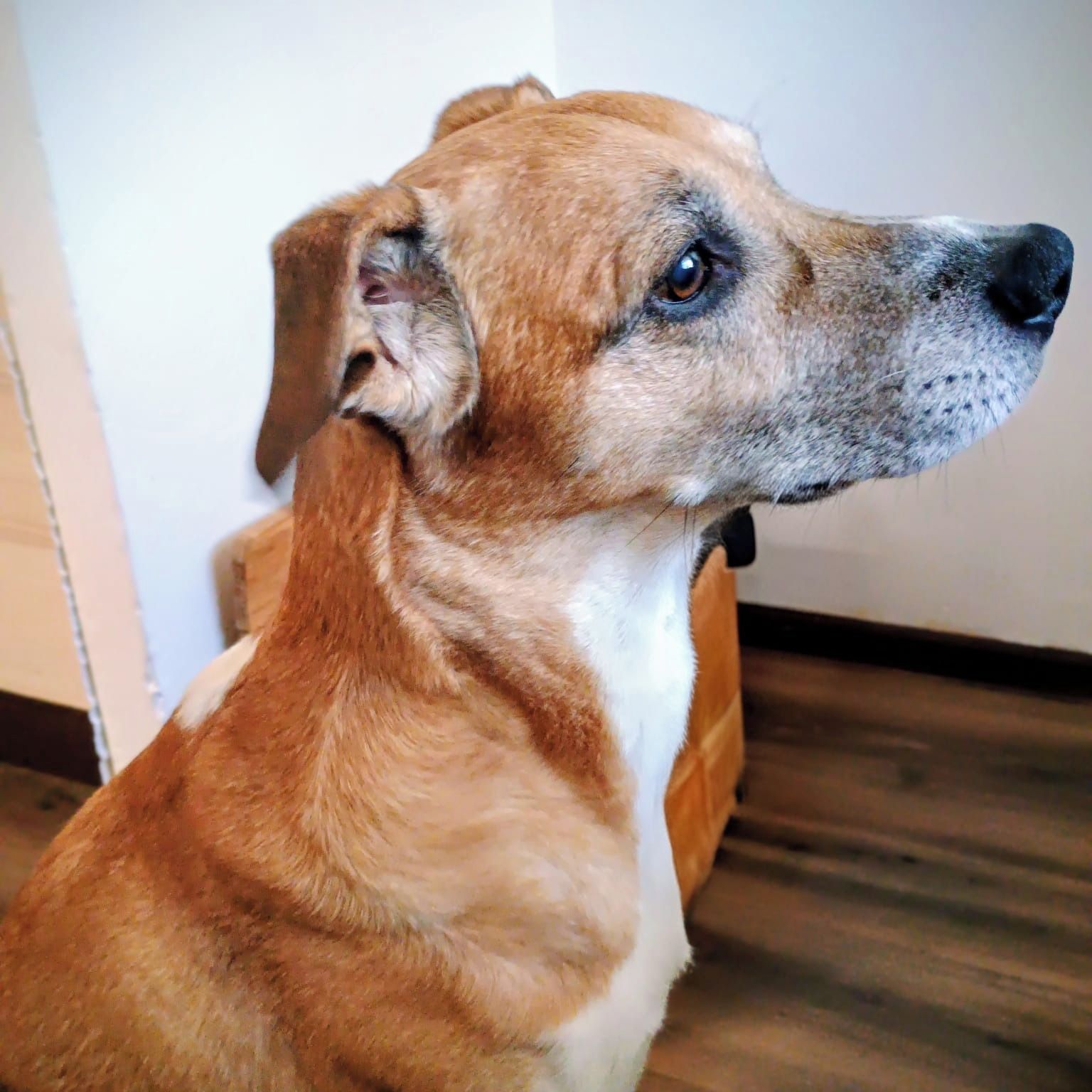 Soutěžní fotografie - Justin,  Ostatní