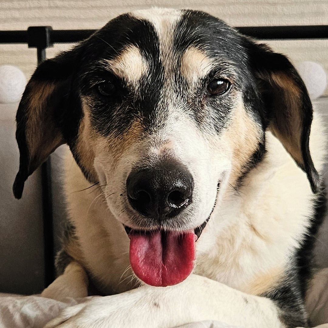 Soutěžní fotografie - Popo,  Ostatní