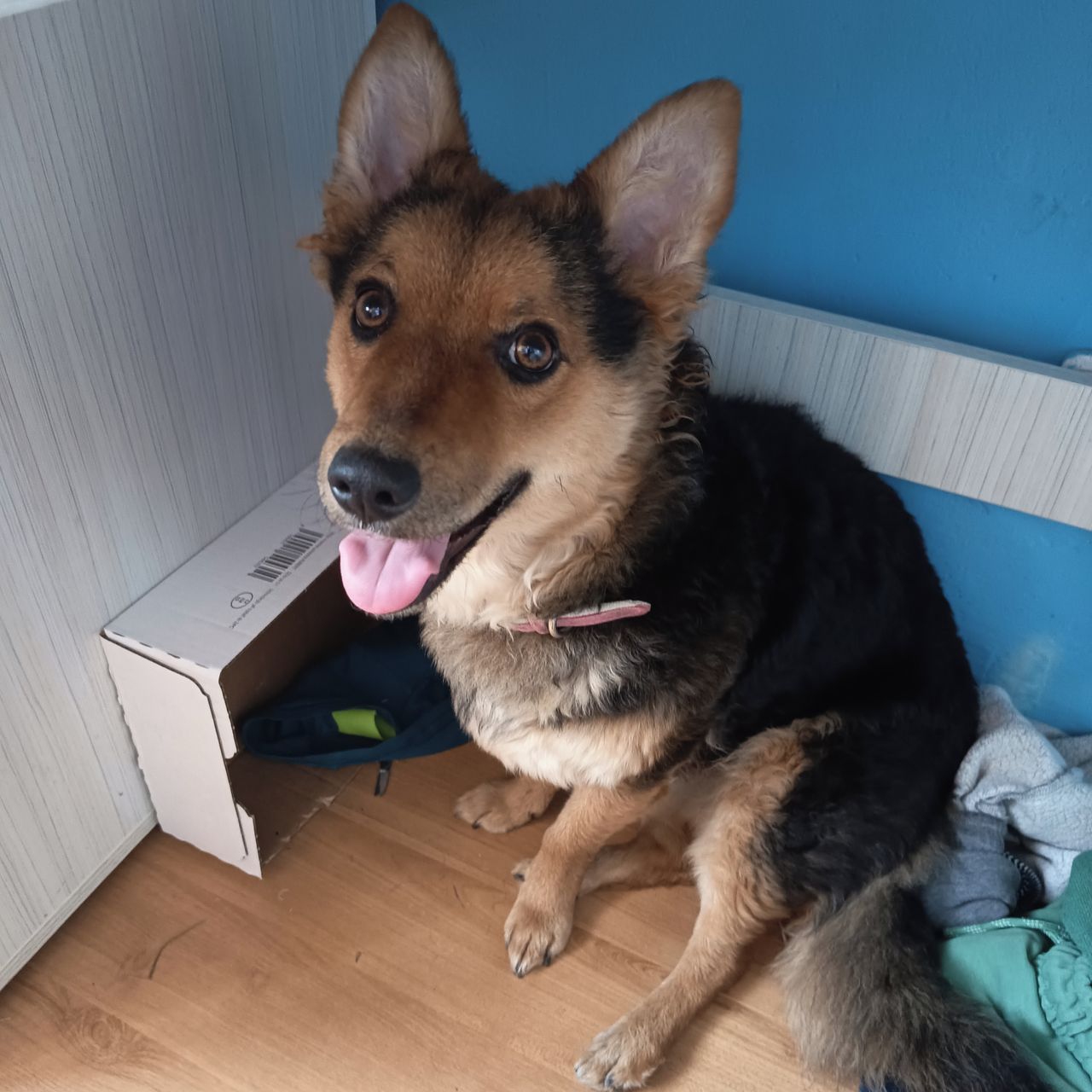 Soutěžní fotografie - Miny,  Ostatní