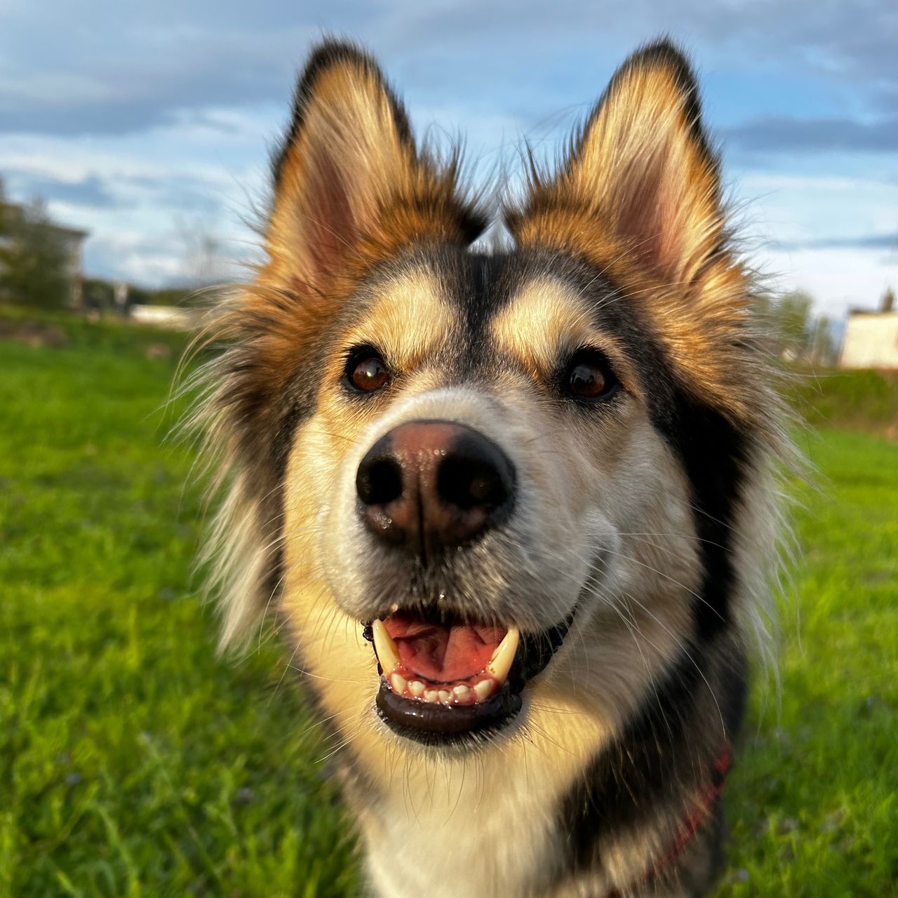 Soutěžní fotografie - Jessie,  Ostatní