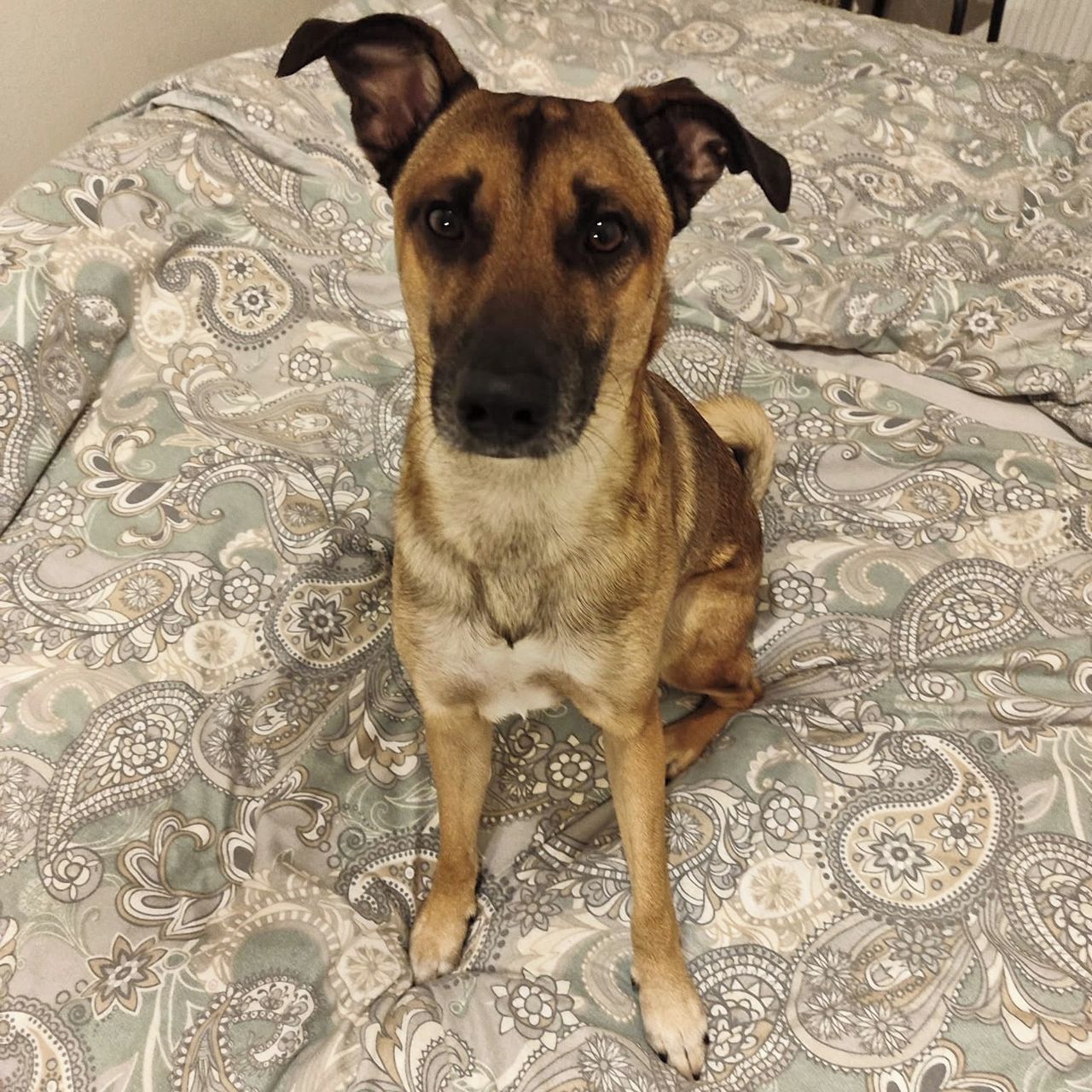 Soutěžní fotografie - Timo,  Ostatní