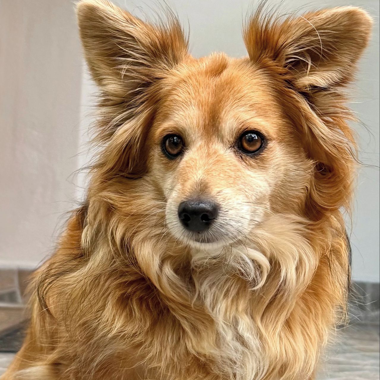 Soutěžní fotografie - Teddy,  Ostatní