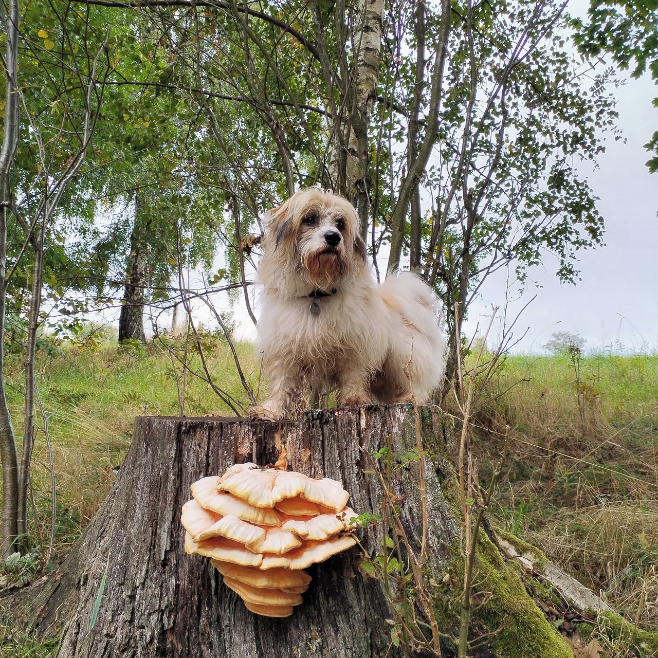 Soutěžní fotografie - Miky,  Ostatní