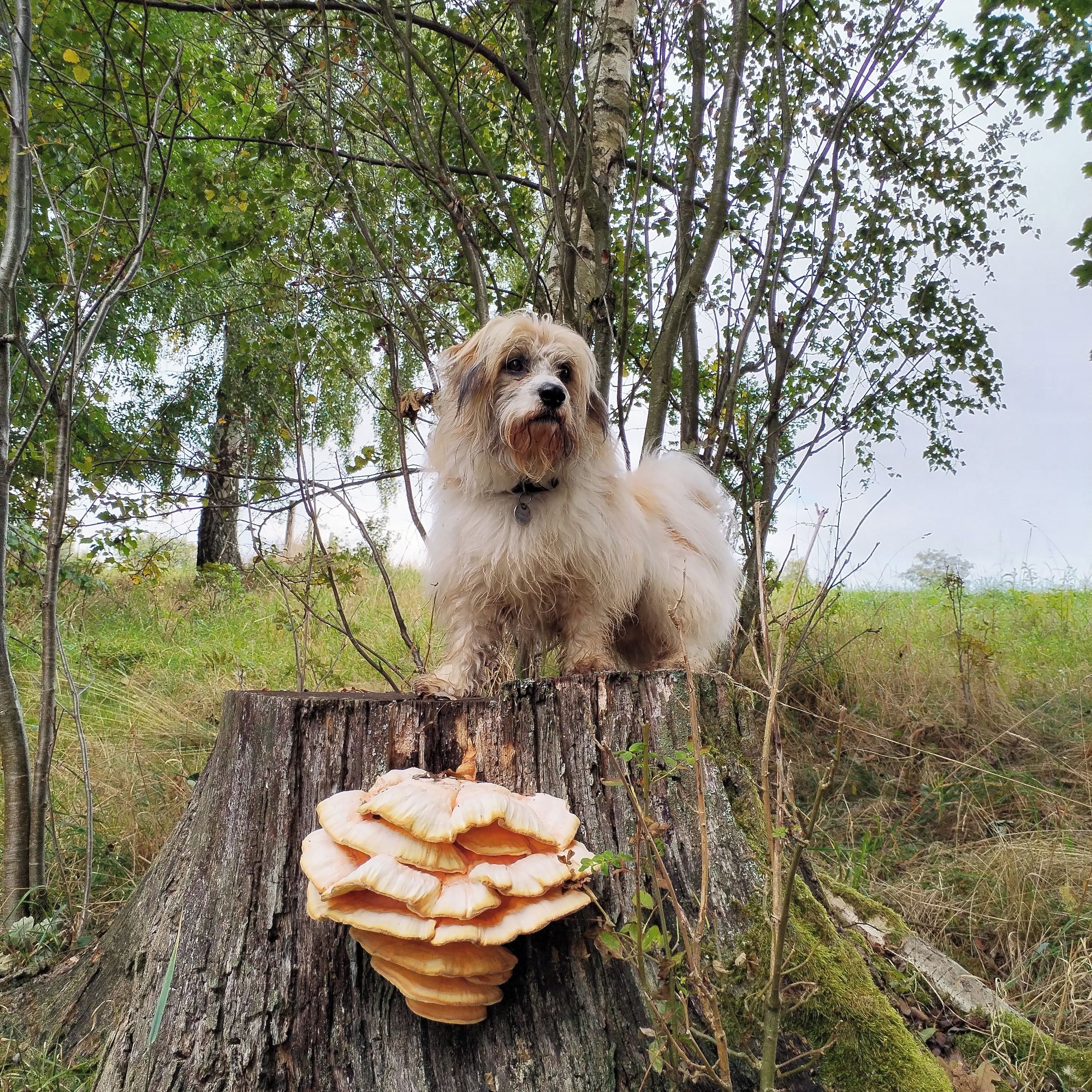 Soutěžní fotografie - Miky,  Ostatní