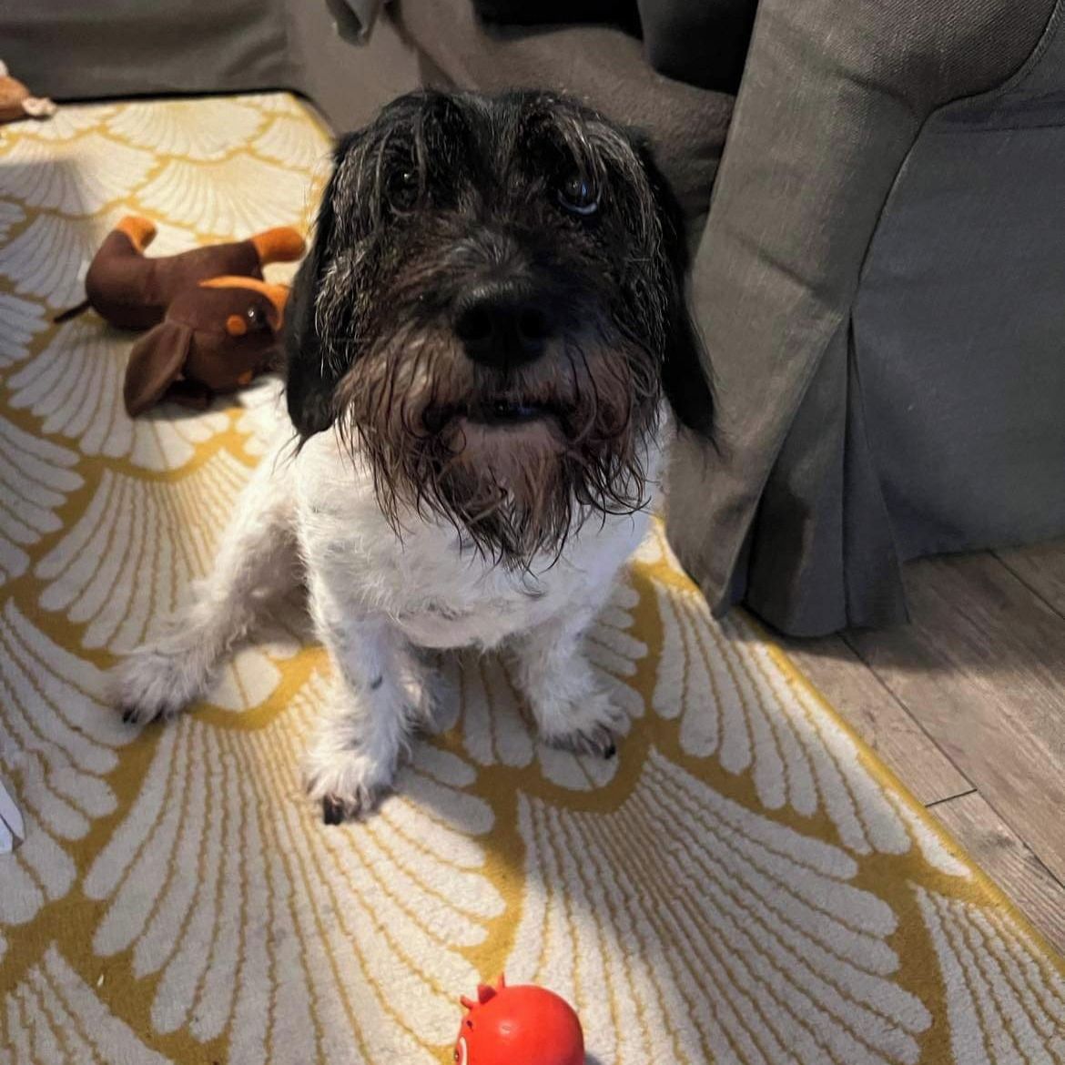 Soutěžní fotografie - Mia,  Ostatní