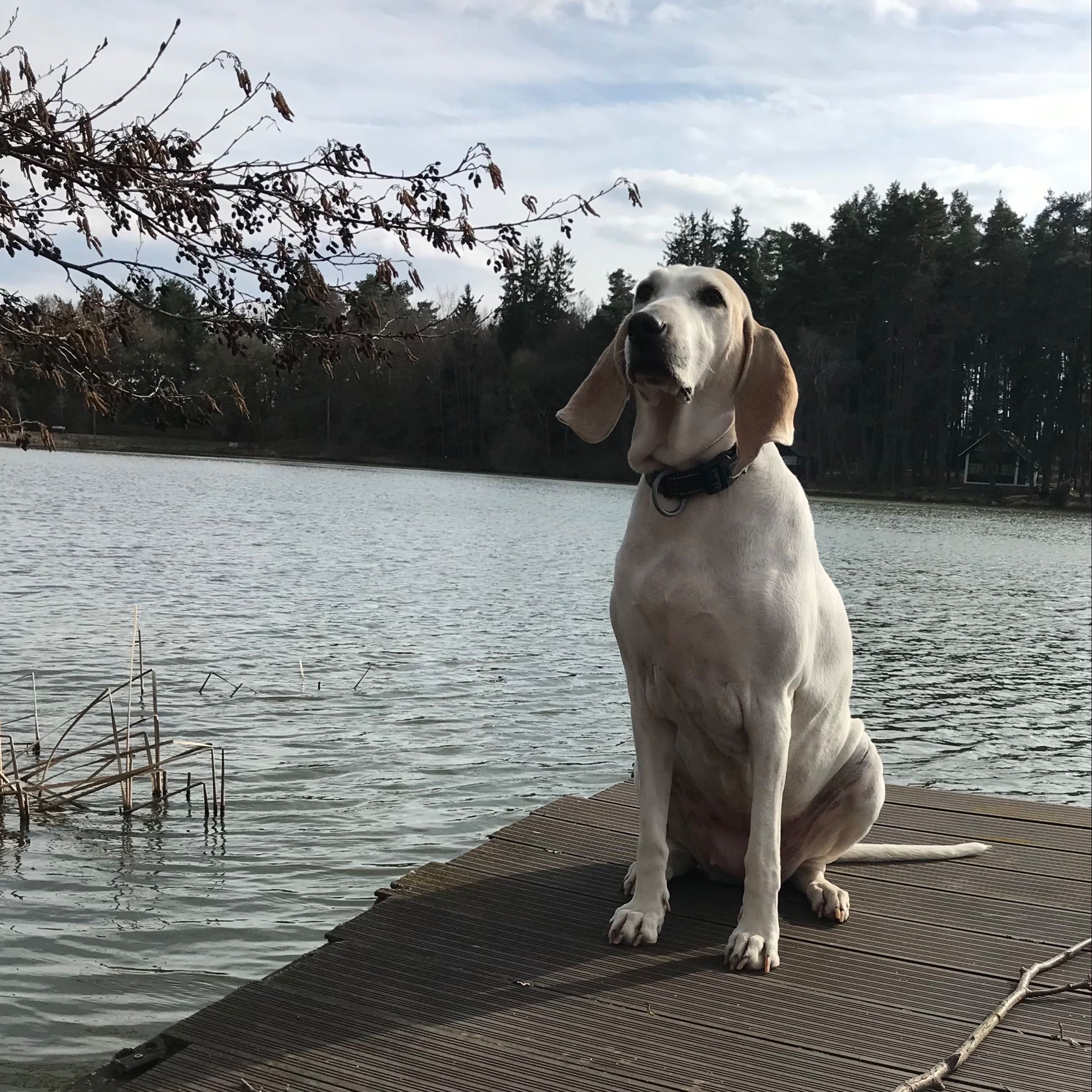 Soutěžní fotografie - Isolda,  Porcelán