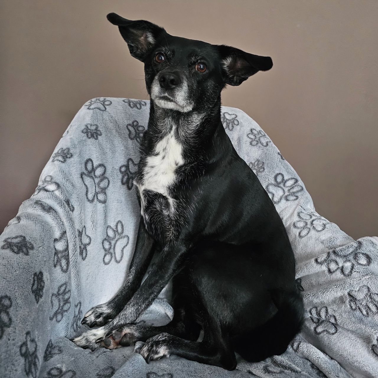 Soutěžní fotografie - Amy,  Ostatní