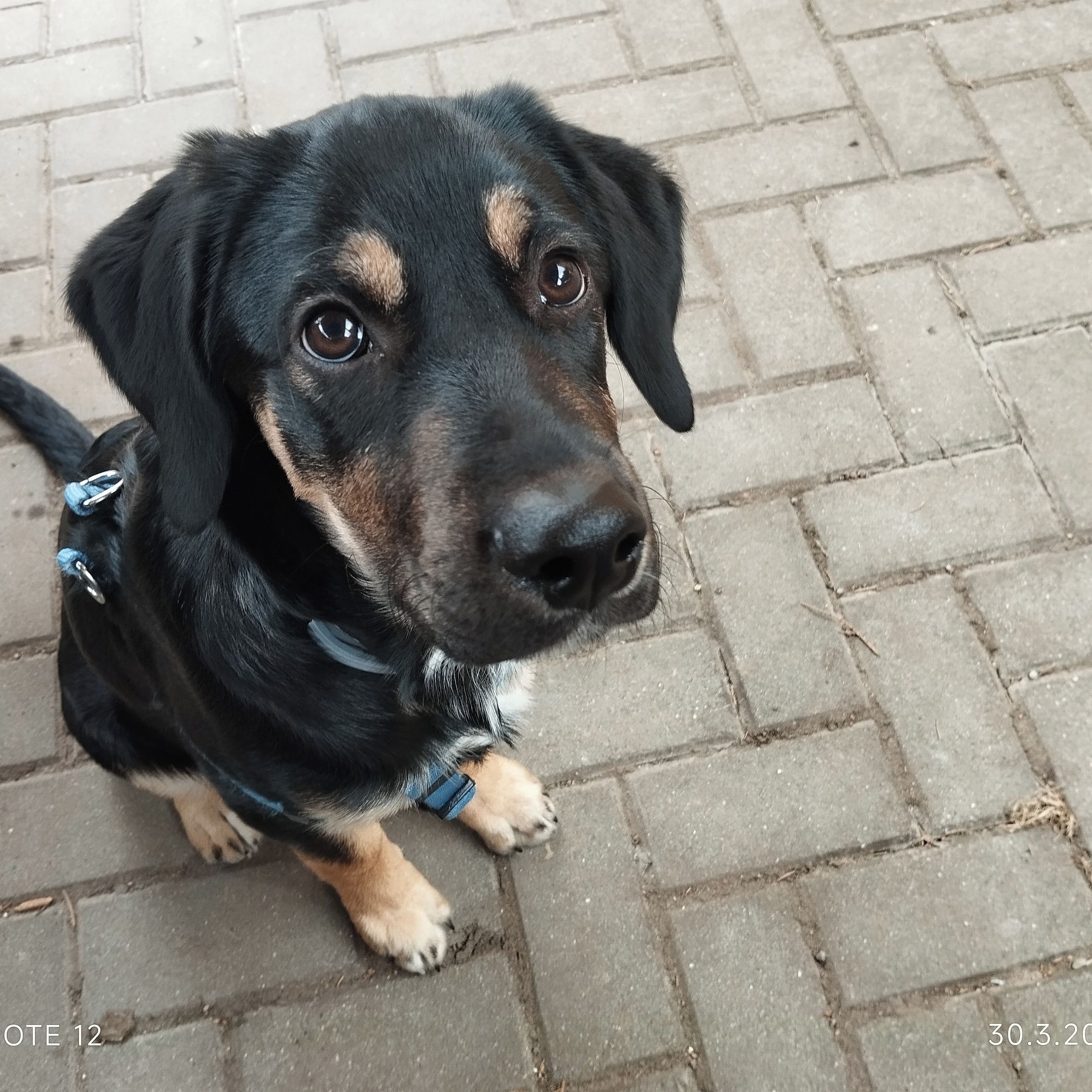 Soutěžní fotografie - Čert,  Ostatní