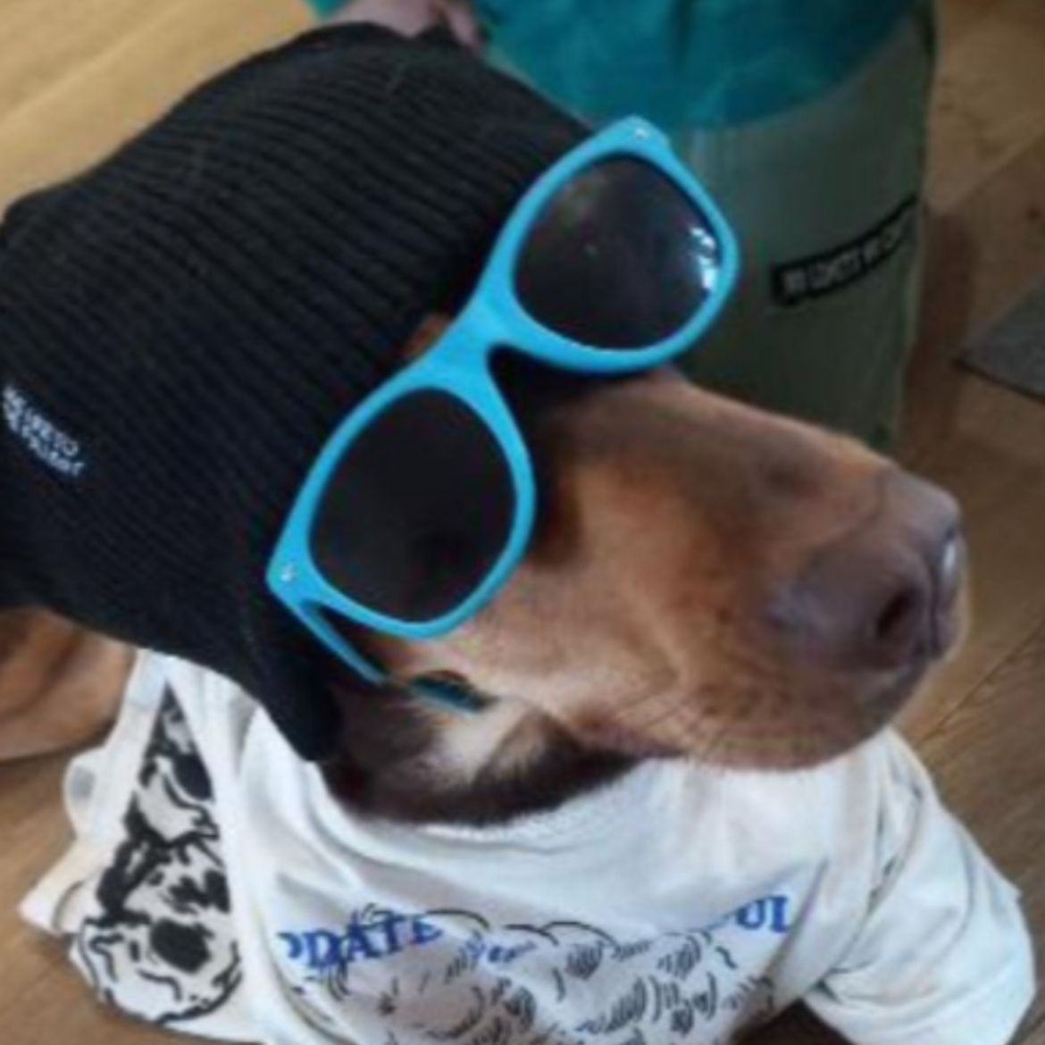 Soutěžní fotografie - Andrej Psovic,  Ostatní