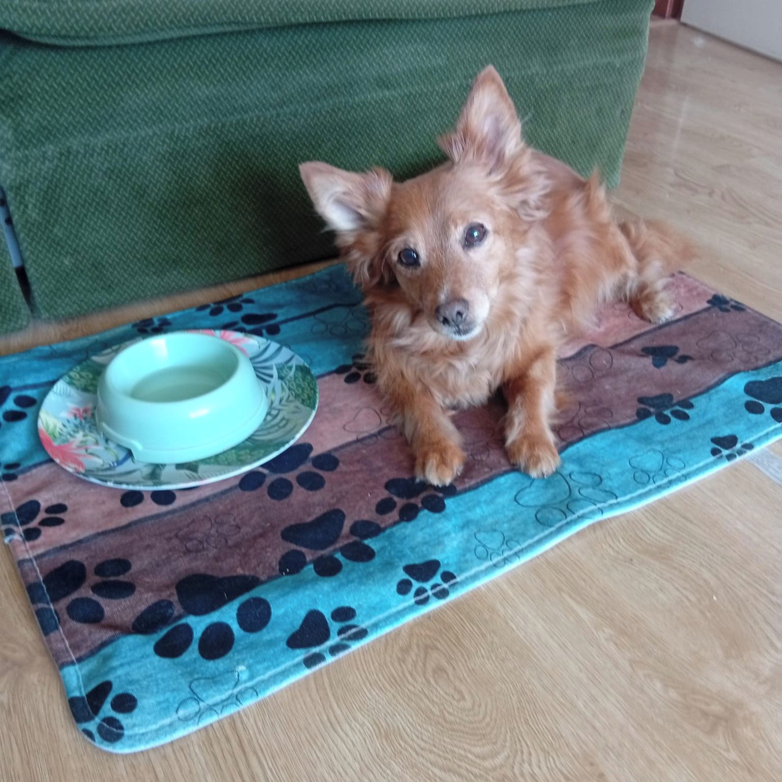 Soutěžní fotografie - Teri,  Ostatní