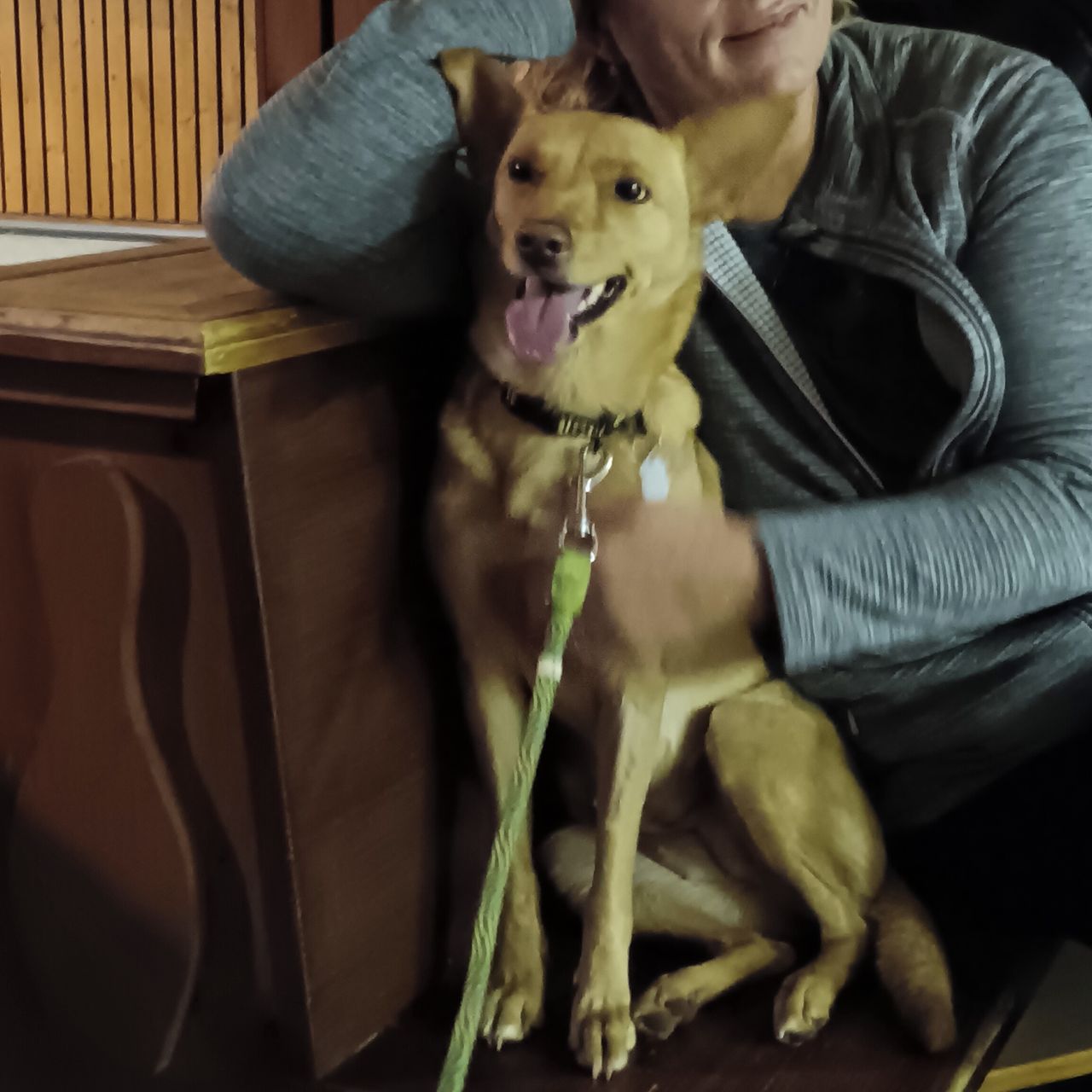 Soutěžní fotografie - Besinka,  Ostatní