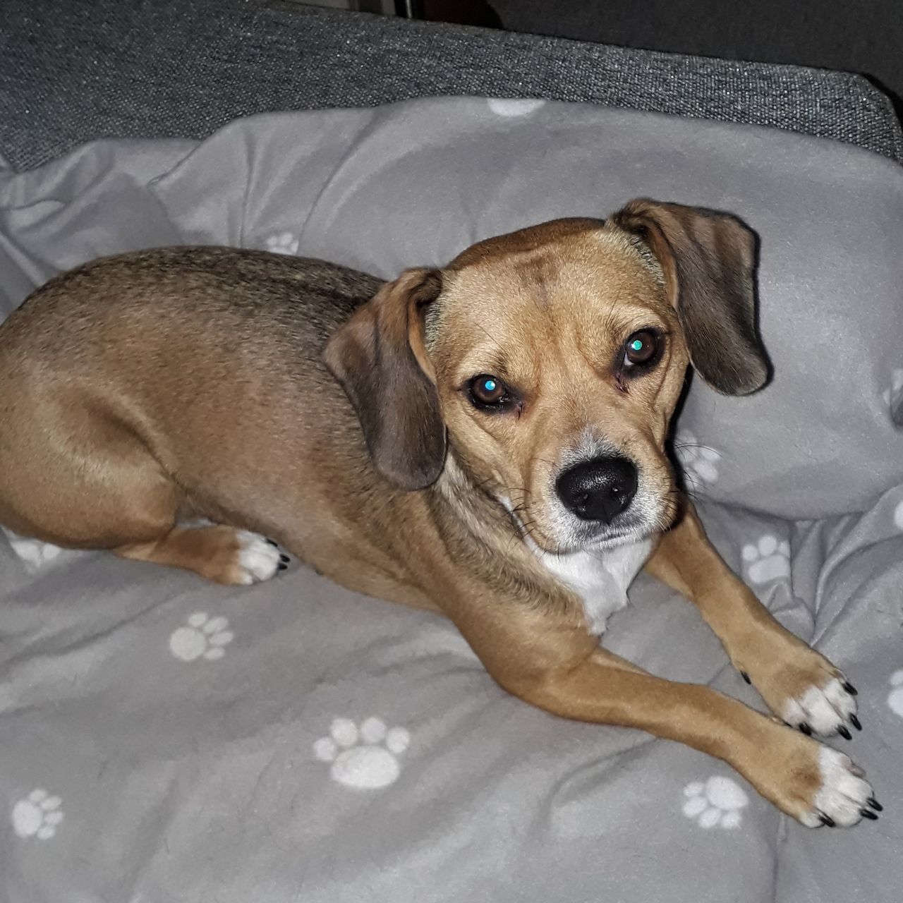 Soutěžní fotografie - Mia,  Ostatní