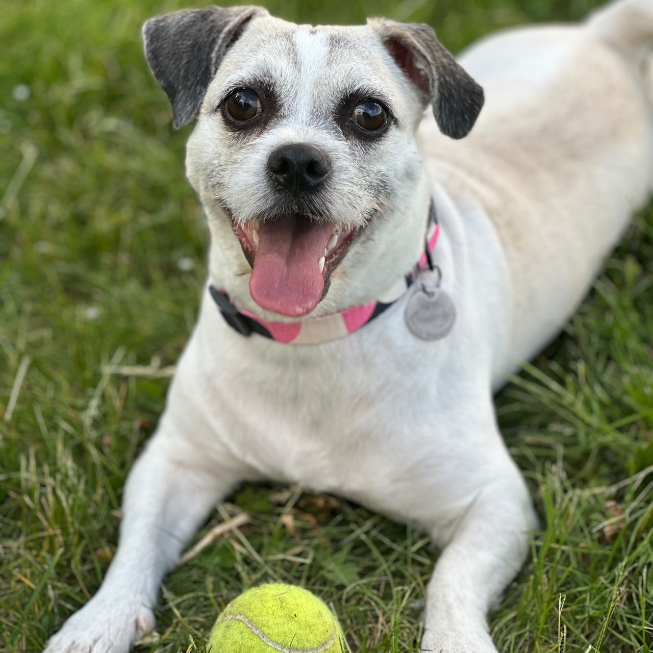 Soutěžní fotografie - Dášenka,  Ostatní