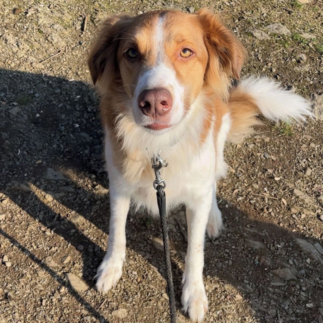 Soutěžní fotografie - Arris,  Ostatní