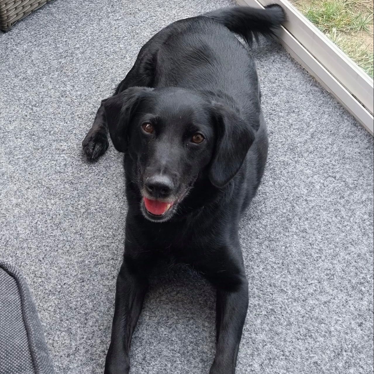 Soutěžní fotografie - Viky,  Ostatní