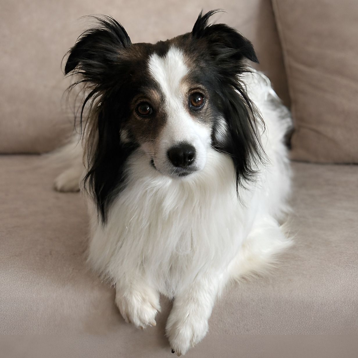 Soutěžní fotografie - Luna,  Ostatní