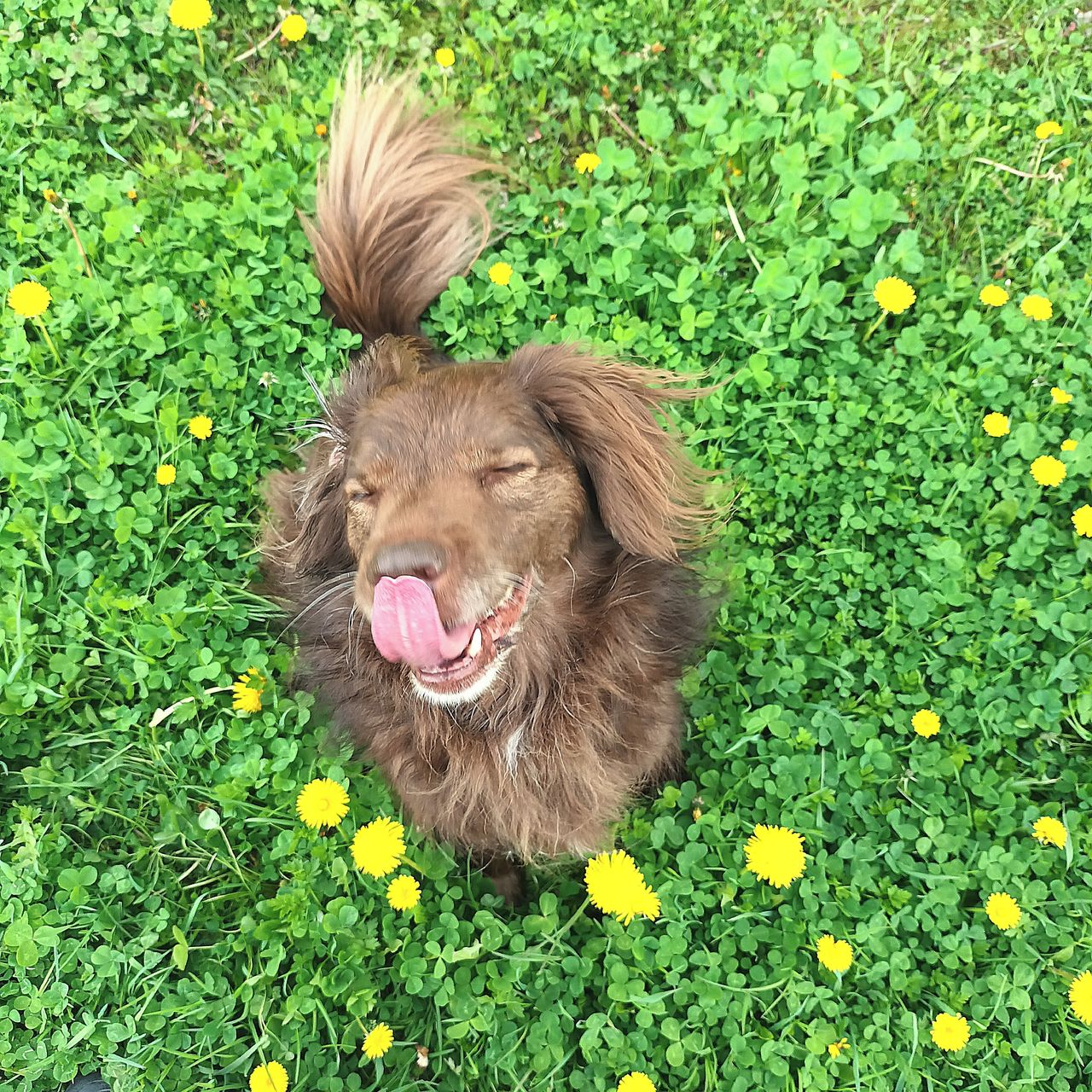 Soutěžní fotografie - Miki,  Ostatní