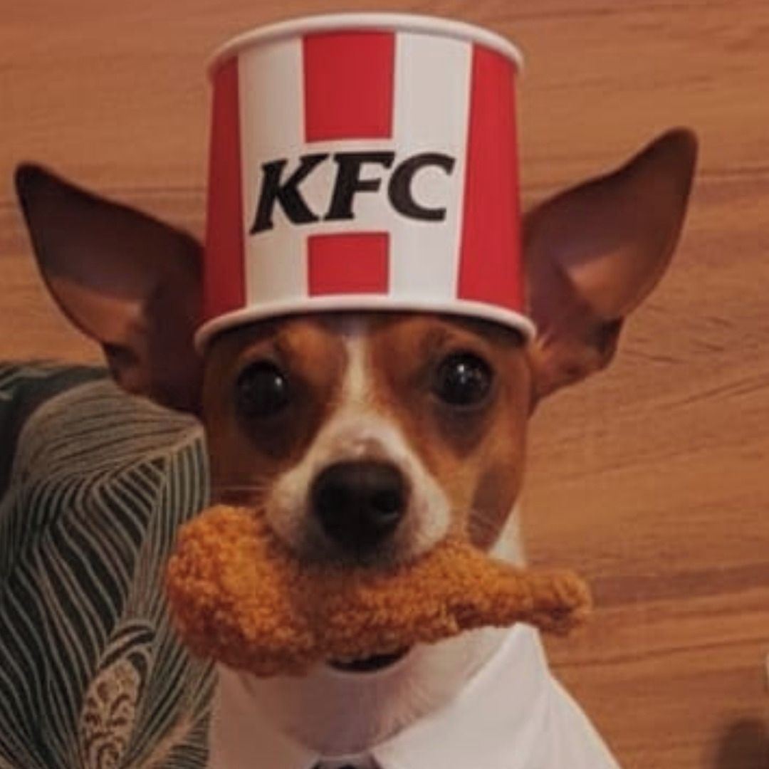 Soutěžní fotografie - Harry,  Ostatní