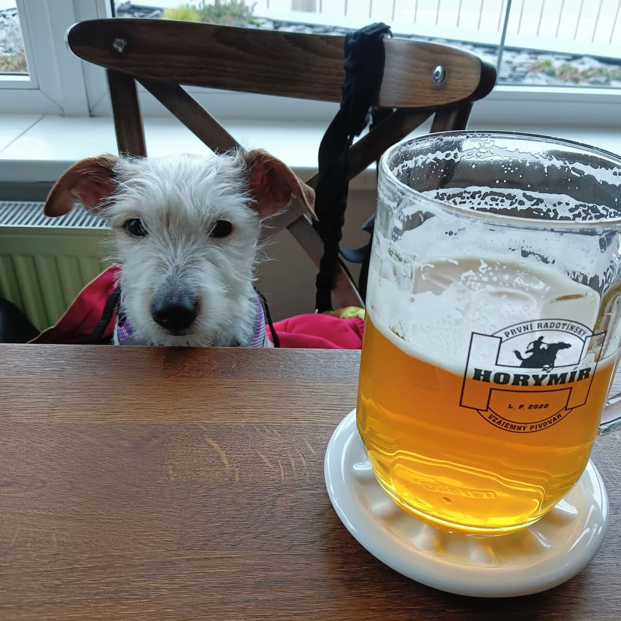 Soutěžní fotografie - Tars,  Ostatní