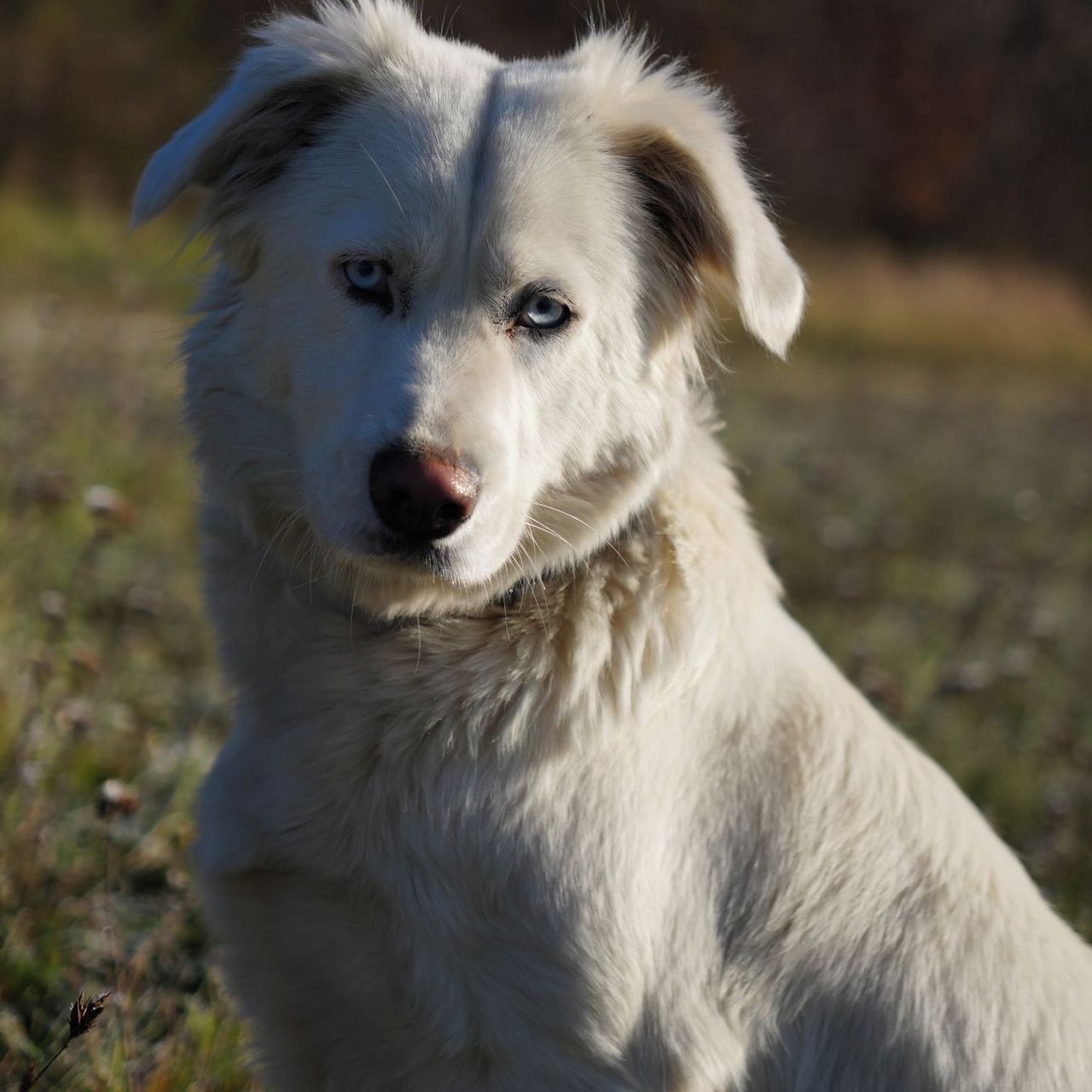 Soutěžní fotografie - Lily,  Ostatní