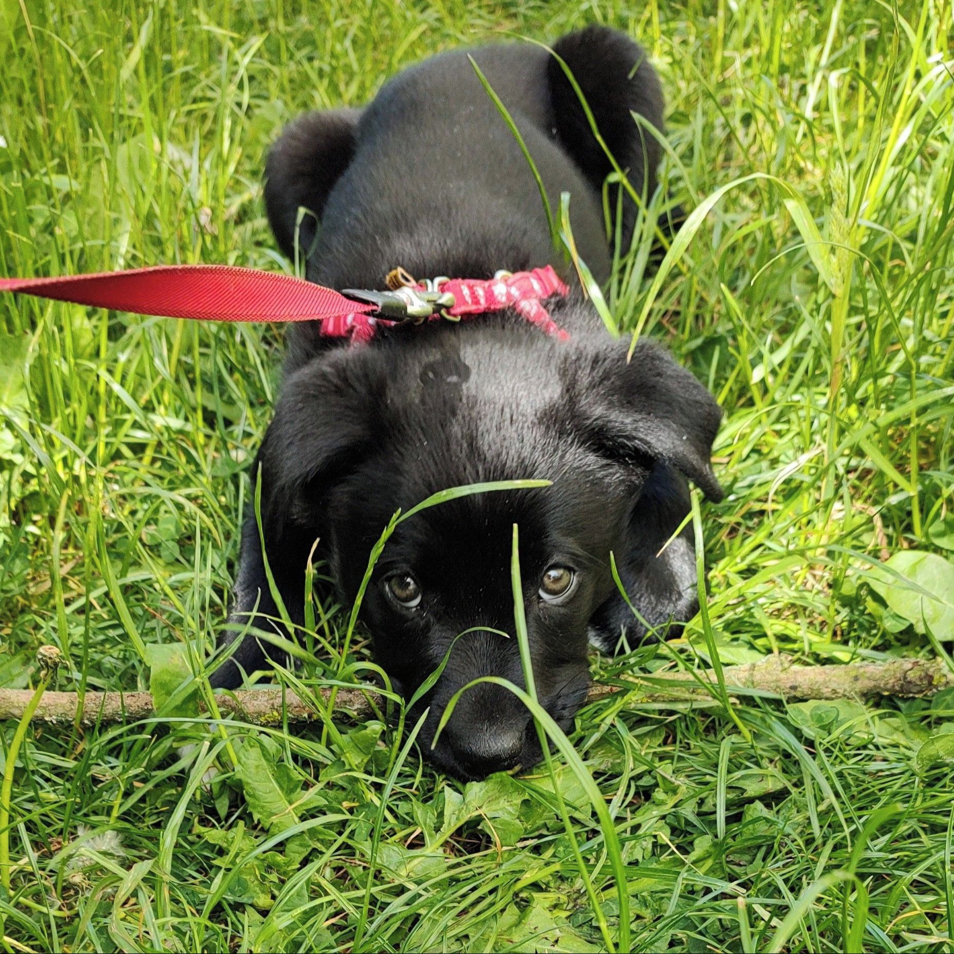 Soutěžní fotografie - Kulička,  Ostatní