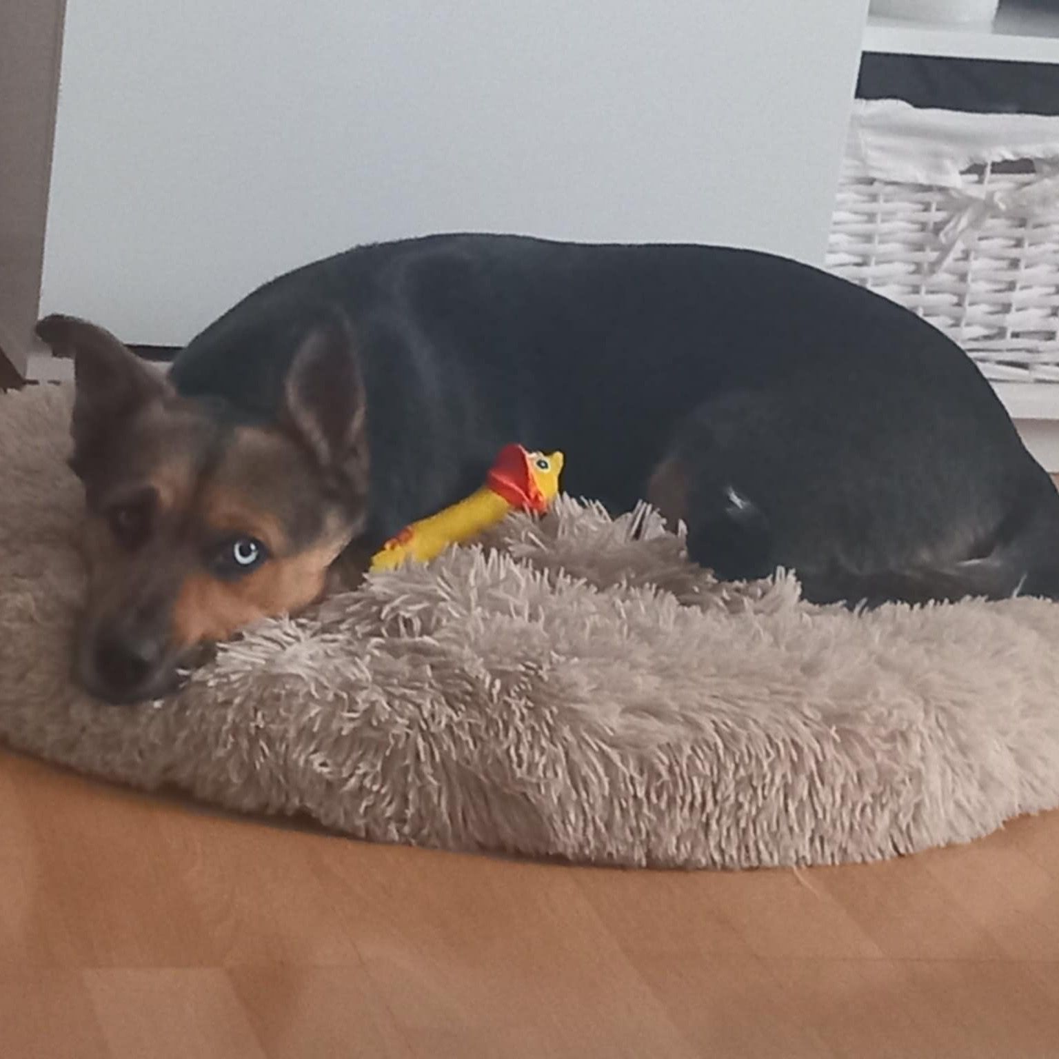 Soutěžní fotografie - Betynka,  Ostatní