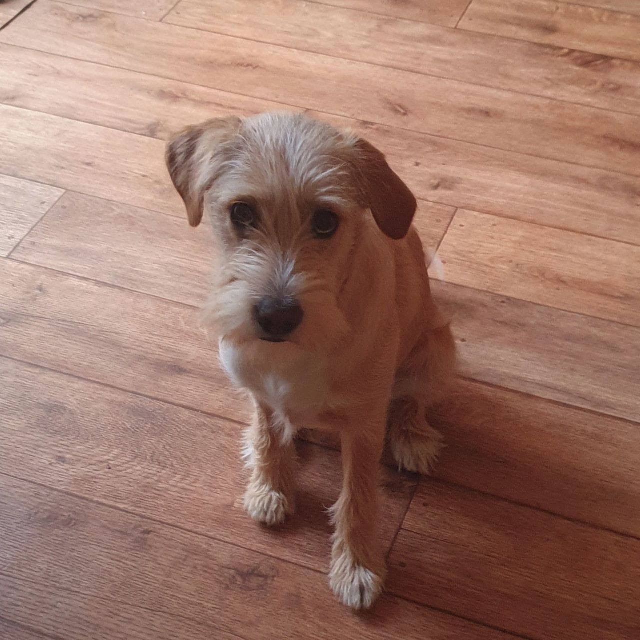 Soutěžní fotografie - Meda,  Ostatní