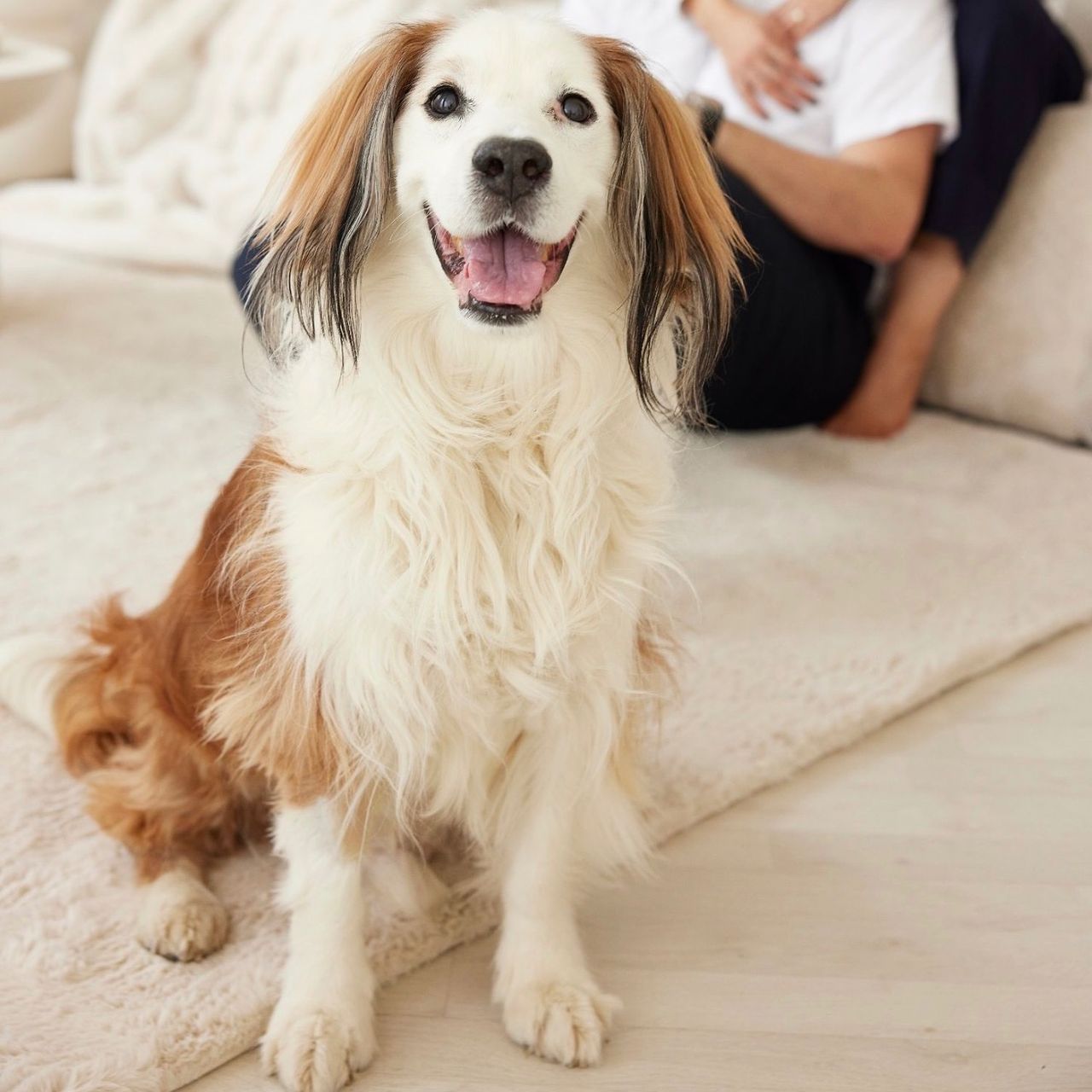 Soutěžní fotografie - Willy,  Ostatní