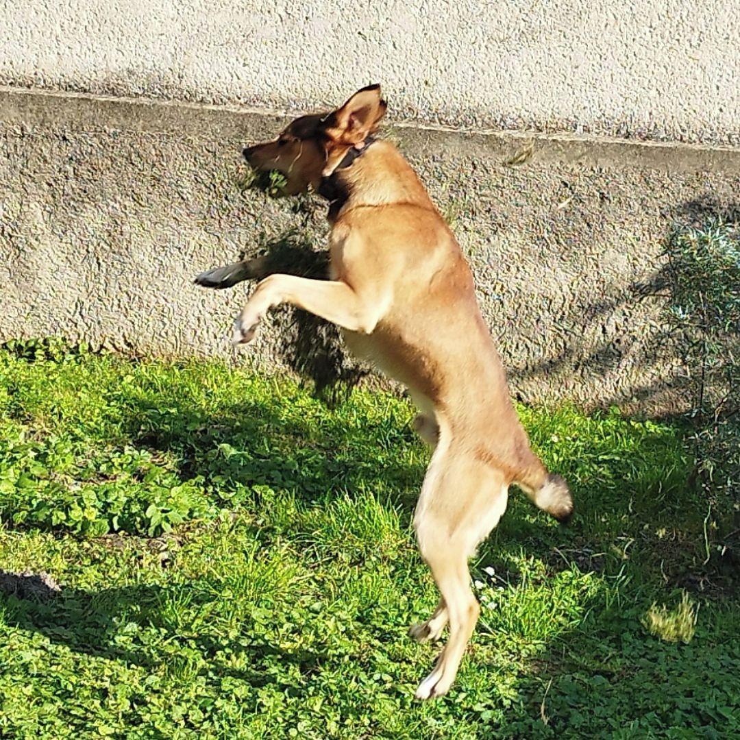 Soutěžní fotografie - Dasty,  Ostatní