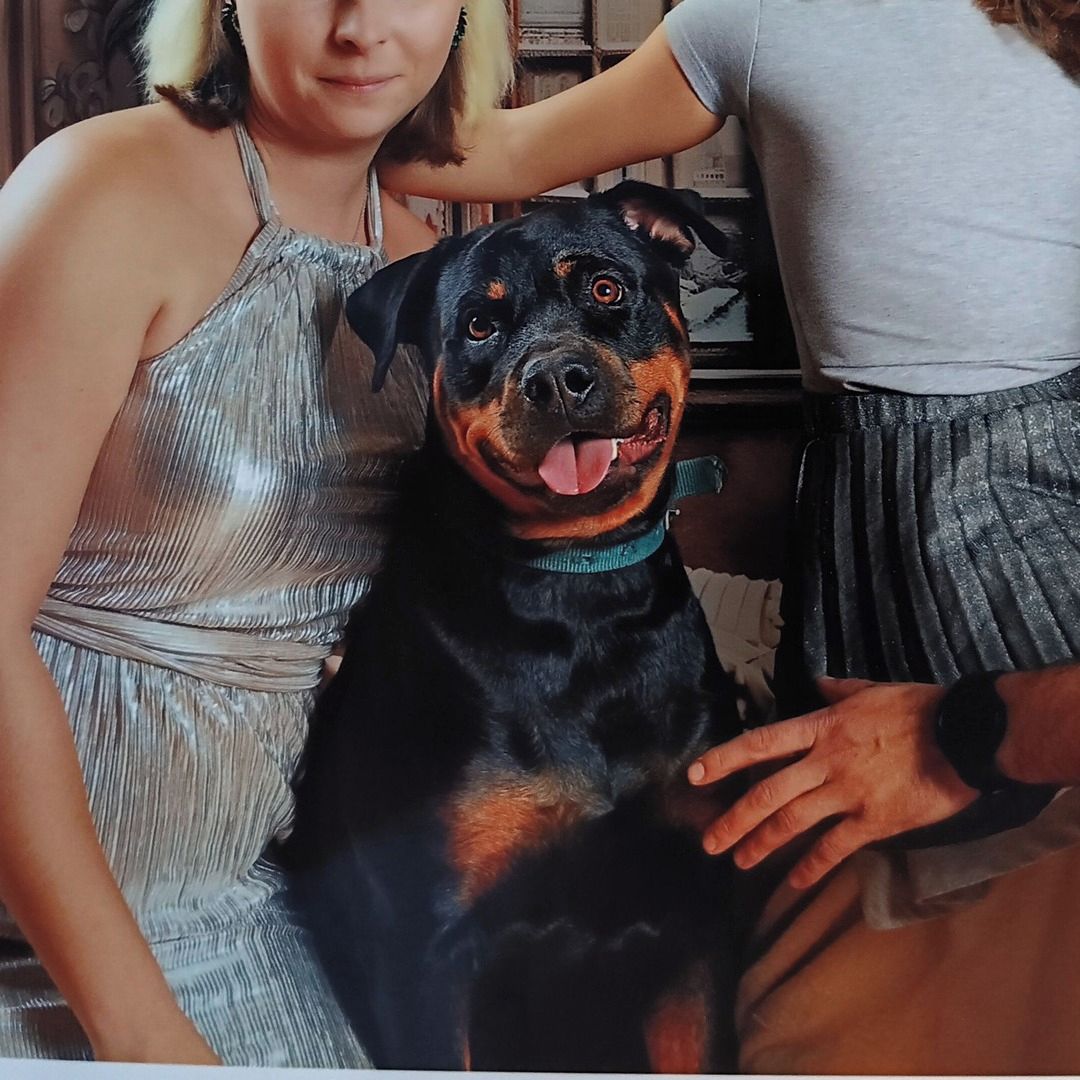 Soutěžní fotografie - Mia,  Rotvajler