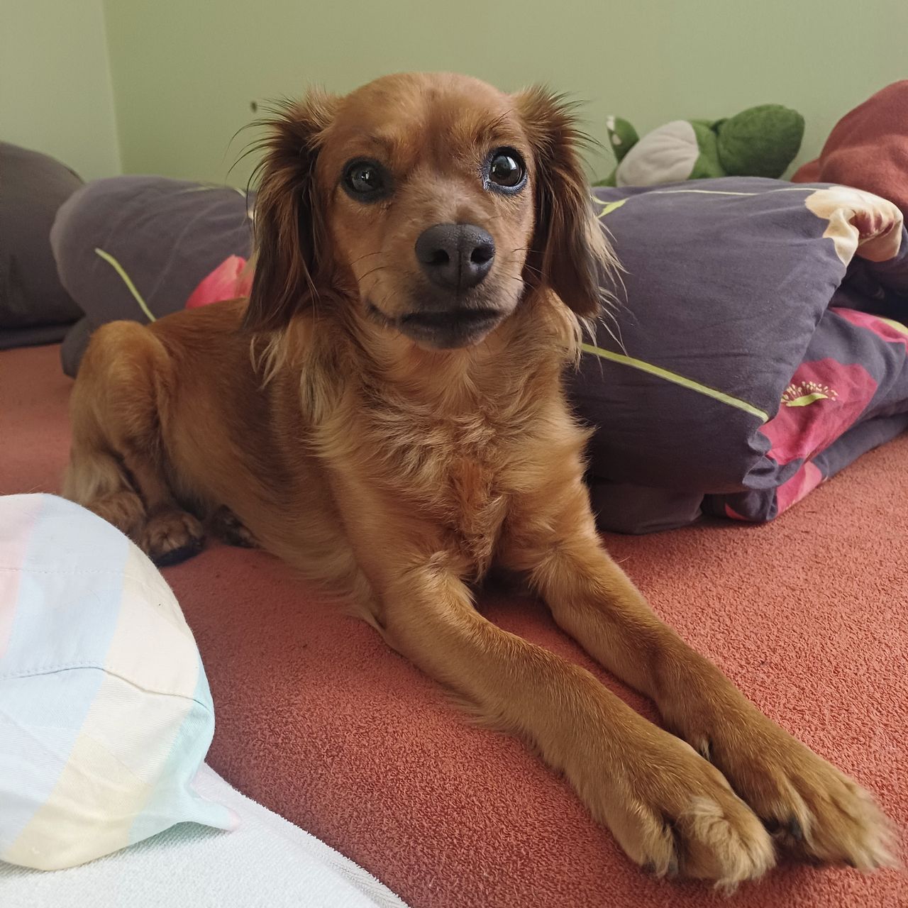 Soutěžní fotografie - Korinka,  Ostatní