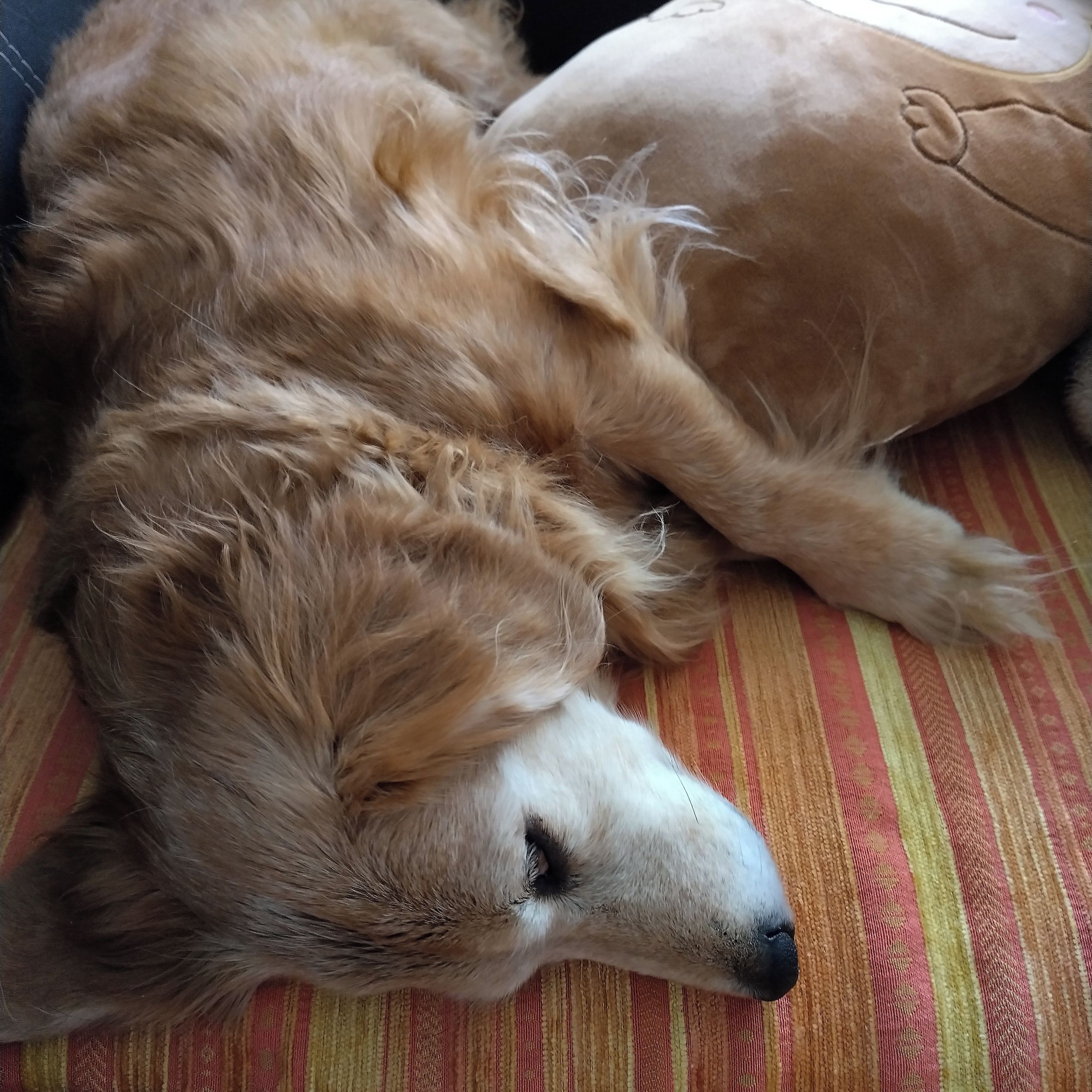 Soutěžní fotografie - Elinka,  Ostatní