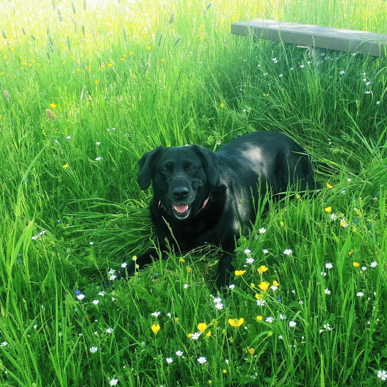Soutěžní fotografie - Nikitka,  Ostatní