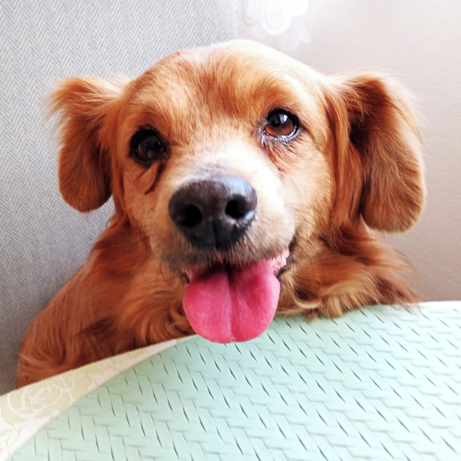 Soutěžní fotografie - Oxi,  Ostatní