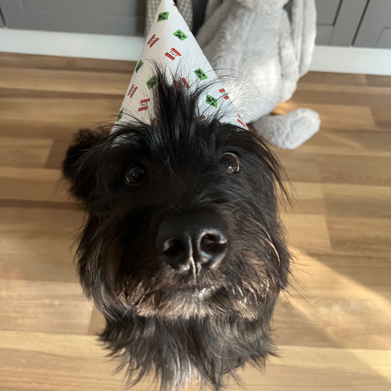 Soutěžní fotografie - Baki,  Ostatní