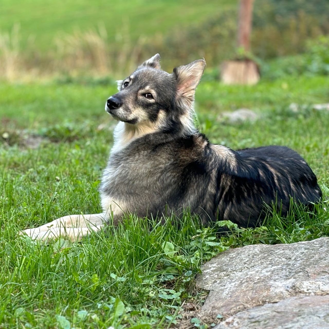 Soutěžní fotografie - Quaia,  Ostatní