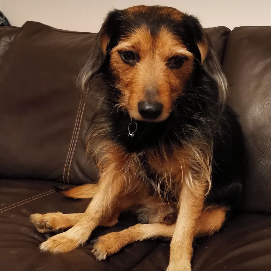 Soutěžní fotografie - Endy,  Ostatní