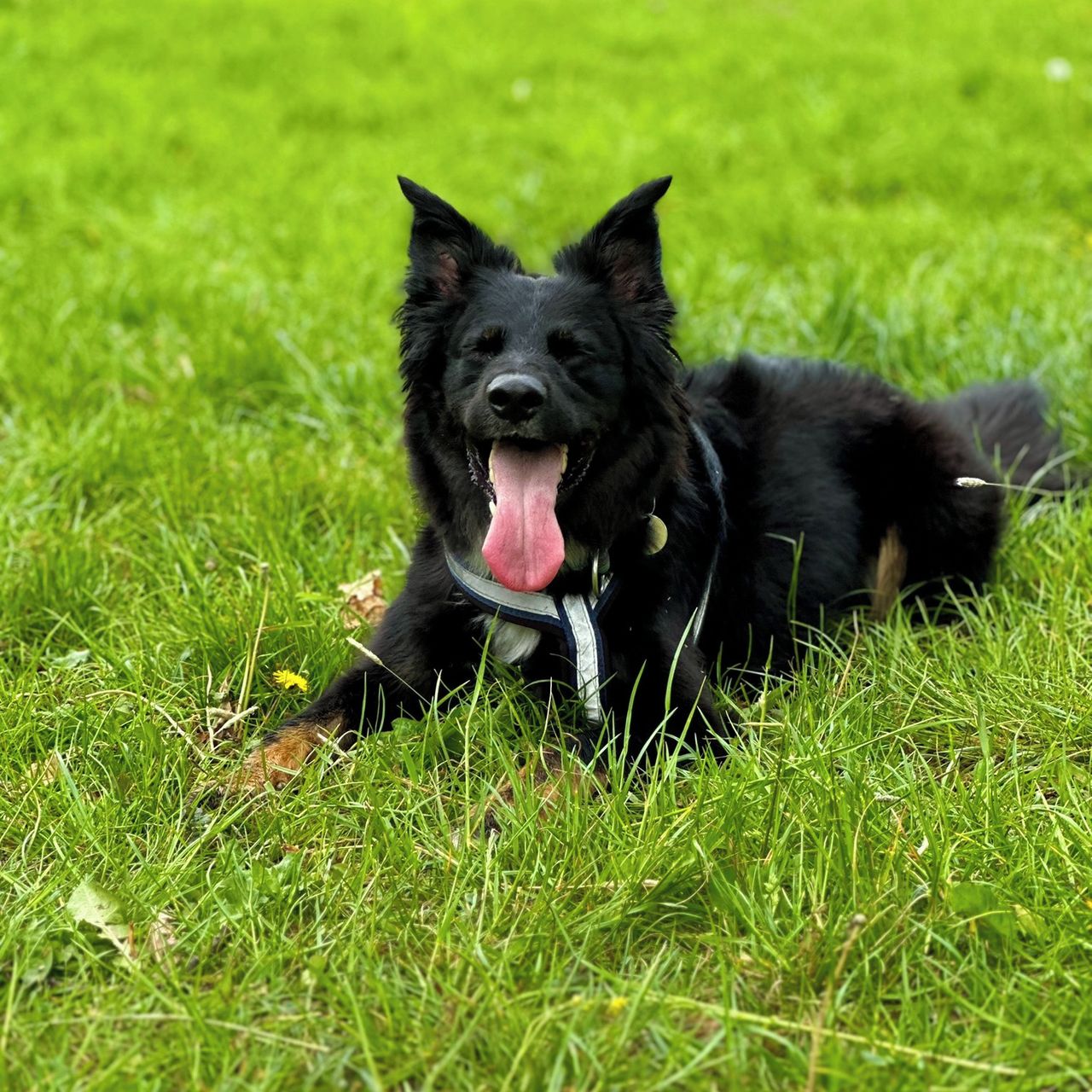 Soutěžní fotografie - Ignor,  Ostatní