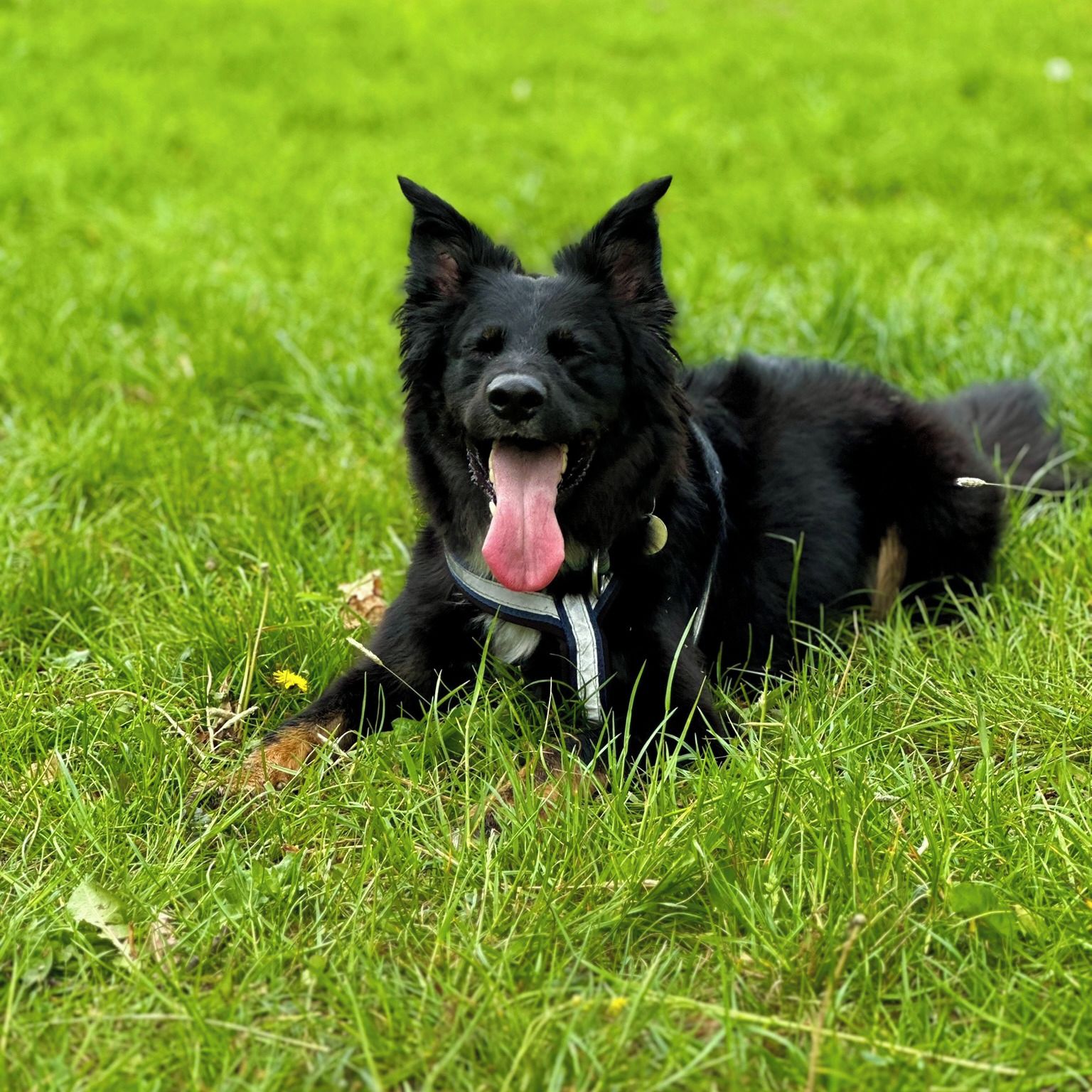 Soutěžní fotografie - Ignor,  Ostatní