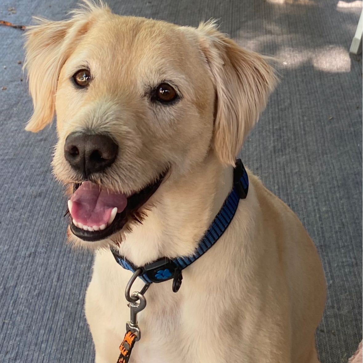 Soutěžní fotografie - Hugo,  Ostatní