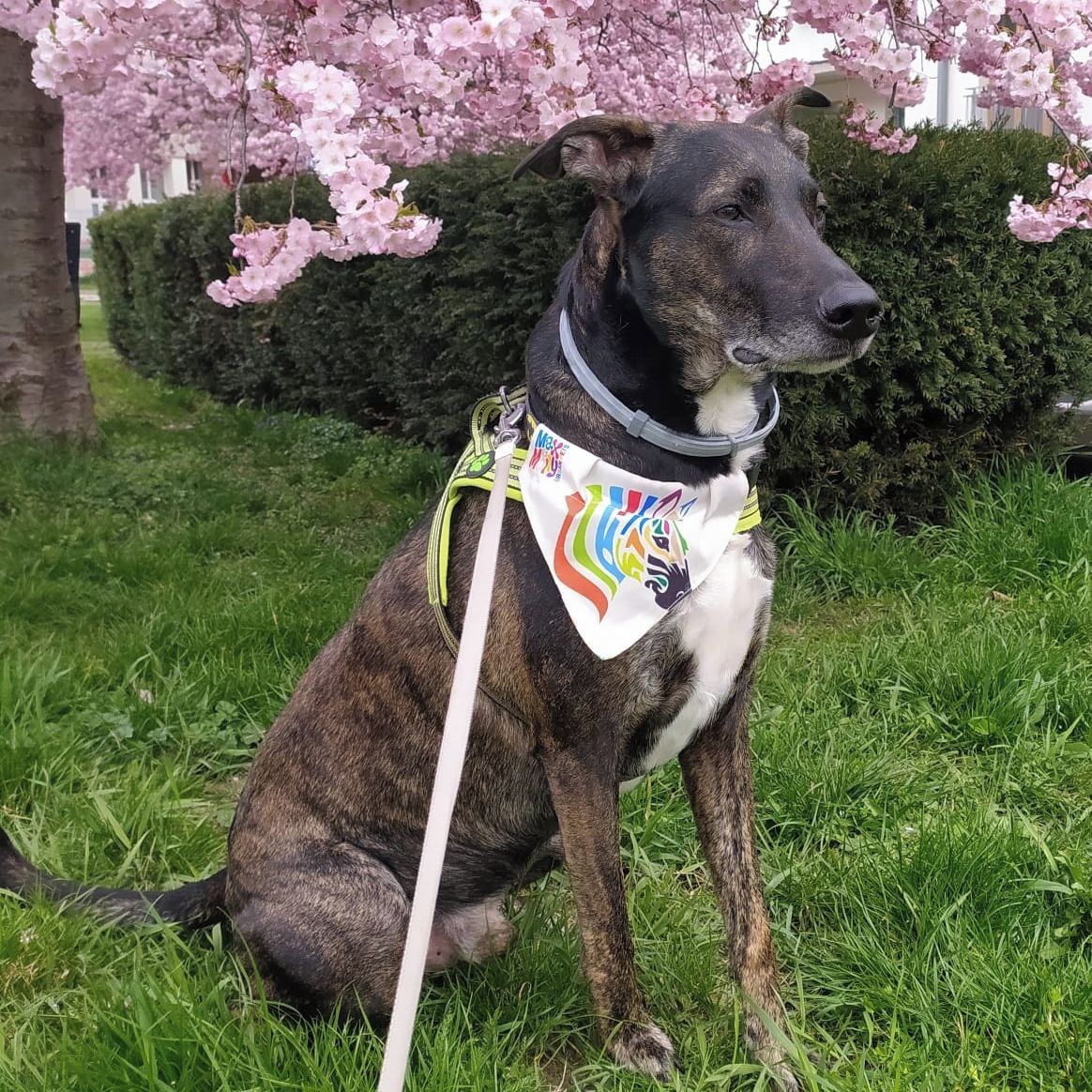 Soutěžní fotografie - Marty,  Mexický naháč