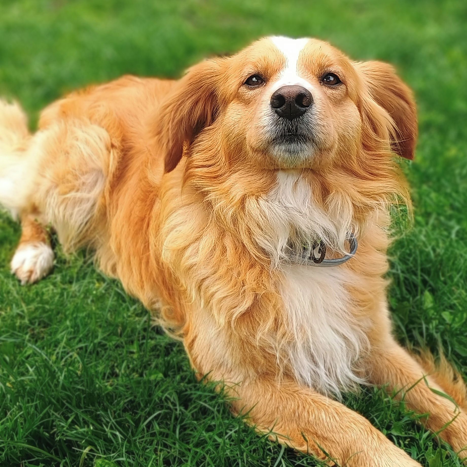 Soutěžní fotografie - Míša,  Ostatní