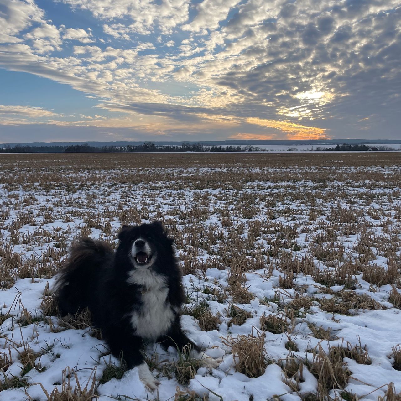 Soutěžní fotografie - Růženka,  Ostatní