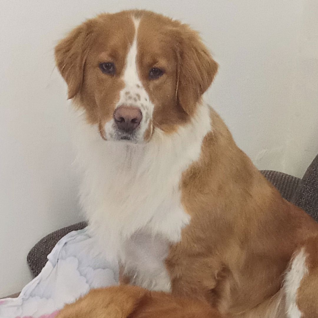 Soutěžní fotografie - Dája,  Ostatní