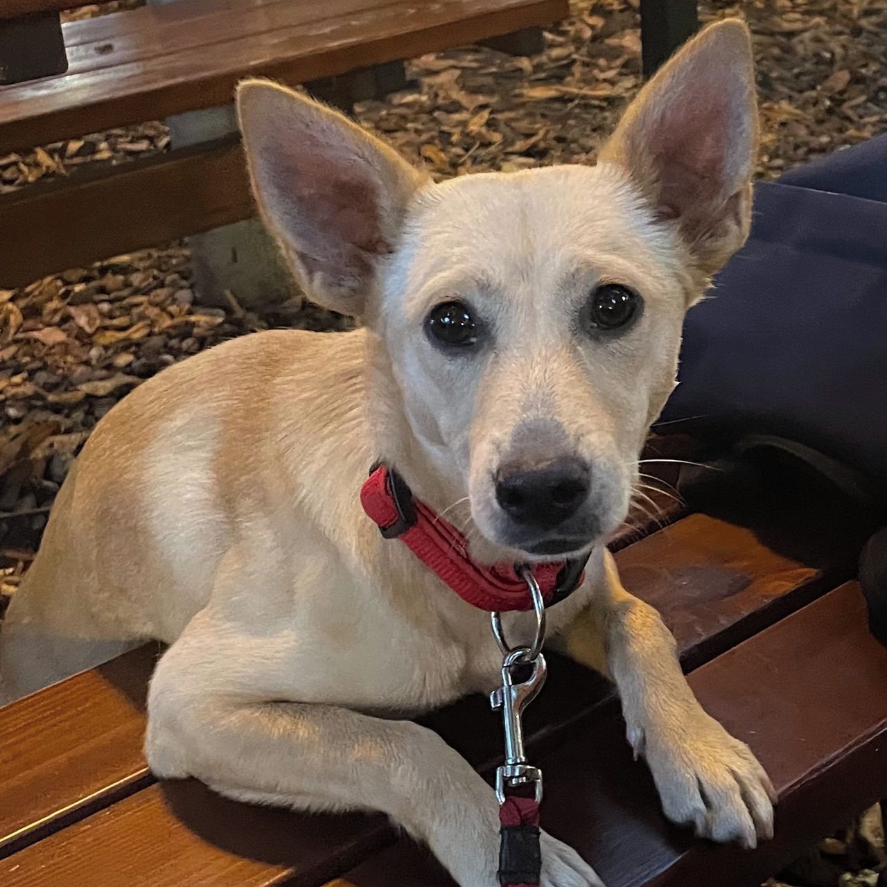 Soutěžní fotografie - Zaza,  Ostatní